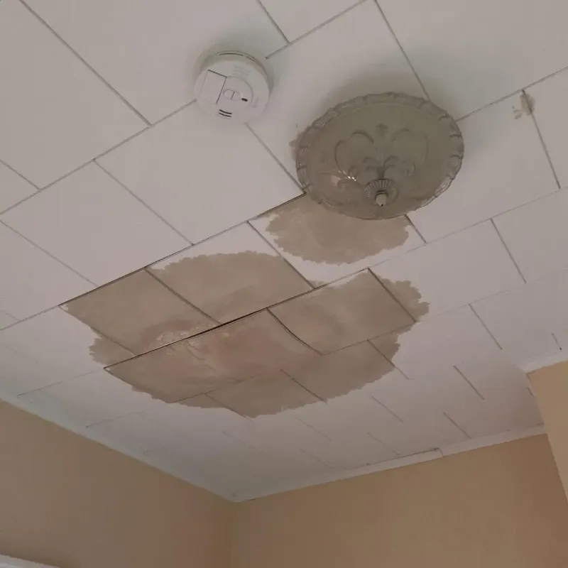 Ceiling Water Damage Repair in Fox Farm-College, WY