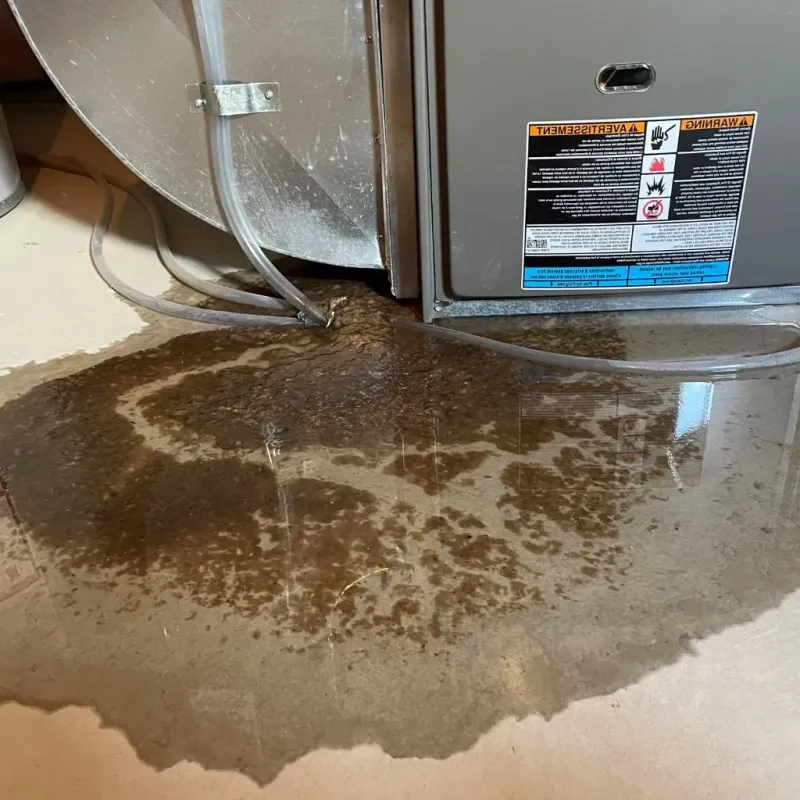 Pipe Burst and Leak Restoration in Fox Farm-College, WY