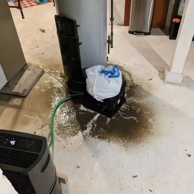 Sewage Backup Cleanup Service in Fox Farm-College, WY
